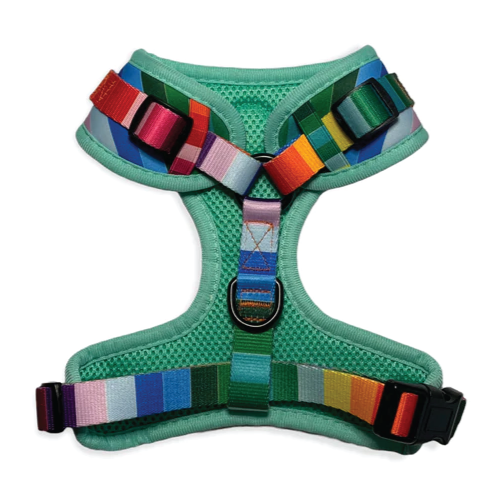 LuvYa Most Rainbow Dog Harness