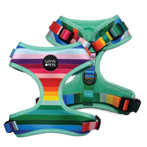LuvYa Most Rainbow Dog Harness