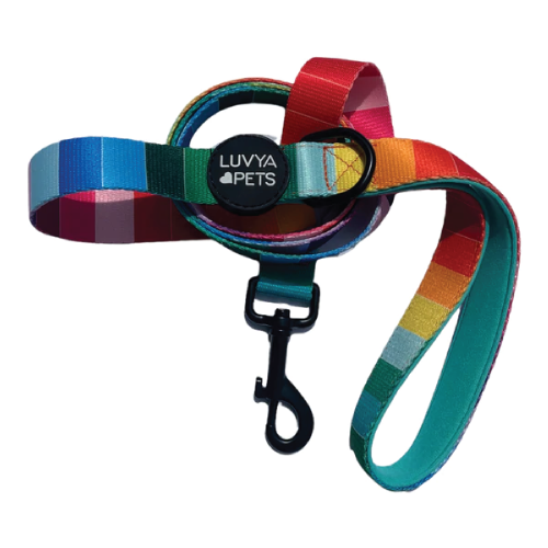 LuvYa Rainbow Print Dog Leash