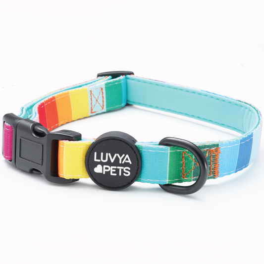 LuvYa Most Rainbow Dog Collar