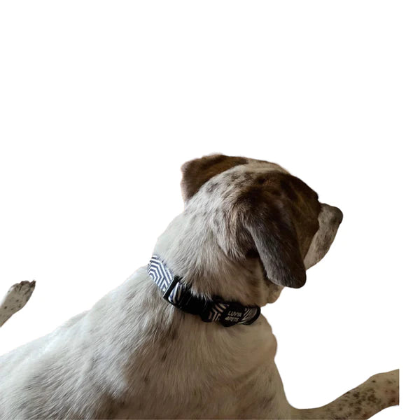 Navy Graphic Fabric Dog Collar