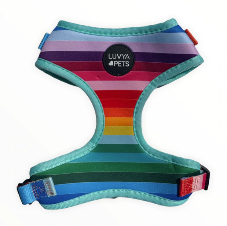 LuvYa Most Rainbow Dog Harness